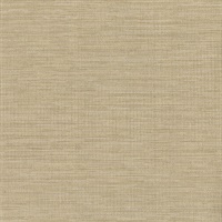 Giana Taupe Horizontal Silk Wallpaper