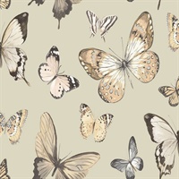 Gold & Beige Commercial Butterflies Wallcovering