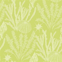 Green & White Commercial Coral Sea Plants Wallcovering