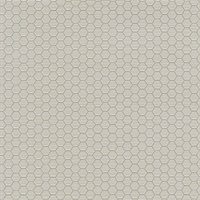 Hexagon Grid Erato
