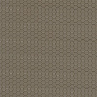 Hexagon Grid Hector
