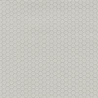 Hexagon Grid Luna