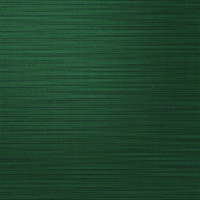 AZ52548 | Green High Fidelity - Emerald Grasscloth Type II 