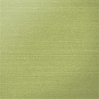 Illusion Silk Key Lime Silk Linen Vertical Texture