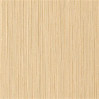 Kimono Texture Harmony