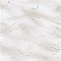 Leon Taupe Faux Marble Stone Wallcovering
