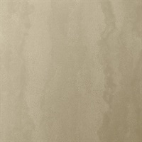 Mantaray Sandstone