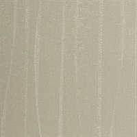 Meyer Sea Shell
