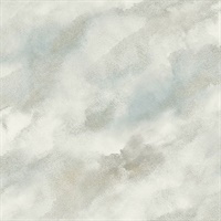 Neutrals Commercial Faux Clouds Wallcovering