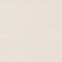 Palm Fiber