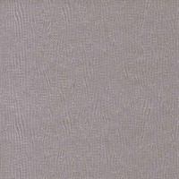 Palm Fiber