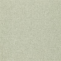 Pebble Linen Dove