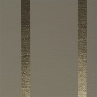 Proximity Gesso Mylar
