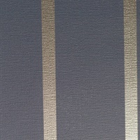 Proximity Midnight Mylar