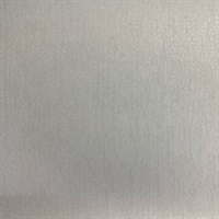 RE53-1605 Commercial Wallcovering