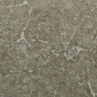 Redondo Limestone