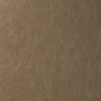 Reserve Earthy Stone Commercial Vinyl