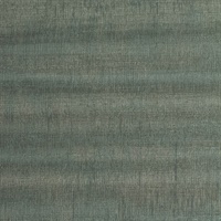 Revie Terra Verte