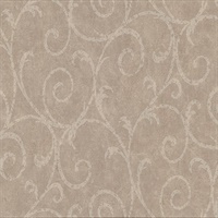 Sansa Light Brown Plaster Scroll