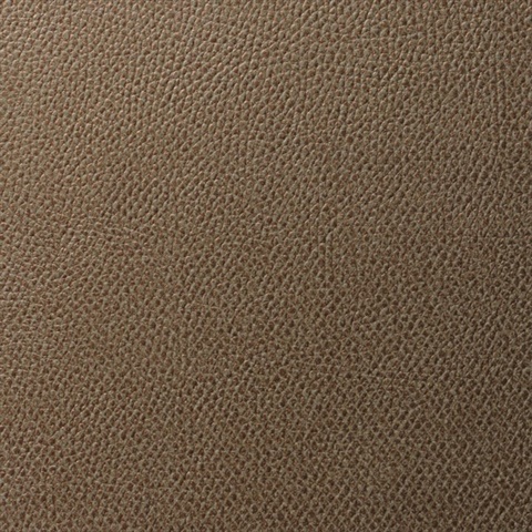 Scales Copper Animal Skin Textured