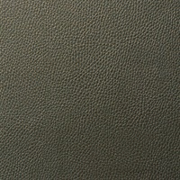 Scales Green Palm Animal Skin Textured