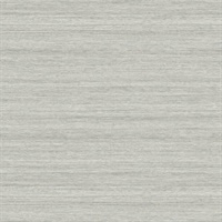 Shantung Silk Grey