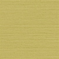 Shima Texture Daisy