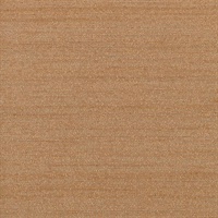 Silk Road Bronze