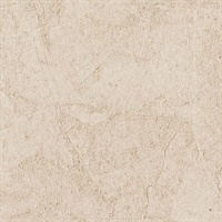 Stucco Plaster Apricot Texture