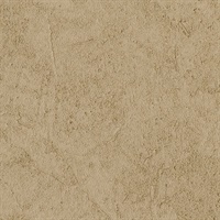 Stucco Plaster Chocolate Texture