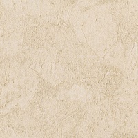 Stucco Plaster Honey Texture