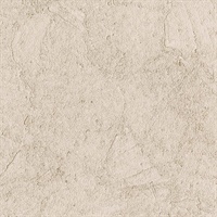 Stucco Plaster Light Brown Texture