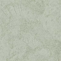 Stucco Plaster Sage Texture