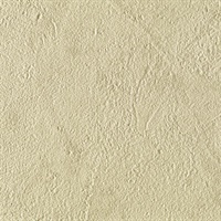 Stucco Texture