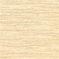 Sugar Cane