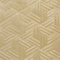 Takumi Elegant Woods TAK-GA01-02 Wood Veneer