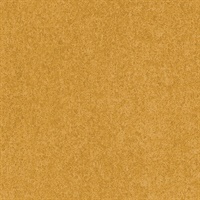 Takumi Exquisite Foils TAK-AA02-03 Brass