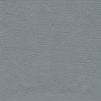 Theon Denim Linen Texture