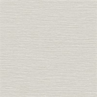 Beach Faux Faux Grasscloth Sea Salt