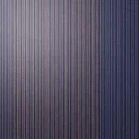 Tiki Stripe Cobalt Cabana Vertical Stripe