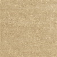 Timber Sun Deck