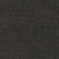 Tupelo Ebony