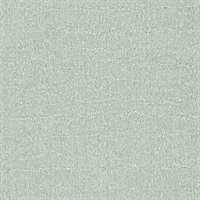 Tupelo Silver Birch