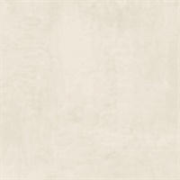 Tuscan PLaster Warm Cream