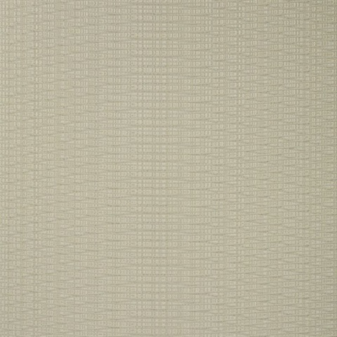 BX4135  Beige Viva Valentina Bare Horizontal Stria Type II