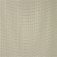 Viva Valentina Bare Horizontal Stria