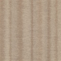 Weathered Sandstone