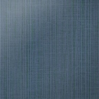 What the Hemp Plane Navy Linen