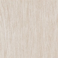Woodgrain Birch Wood