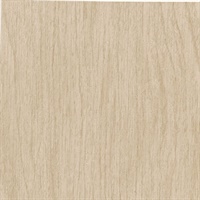 Woodgrain Golden Oak